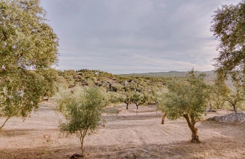 Arraiolos Bed & Breakfast | Monte da Lapa