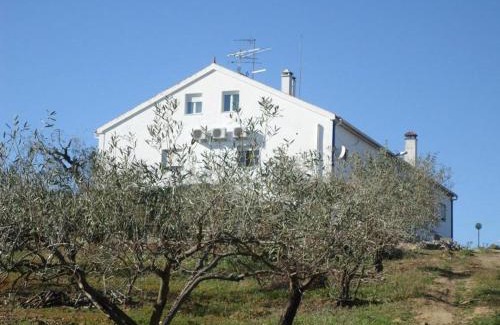 Montemor-o-Novo House | Monte de Stª Margarida II