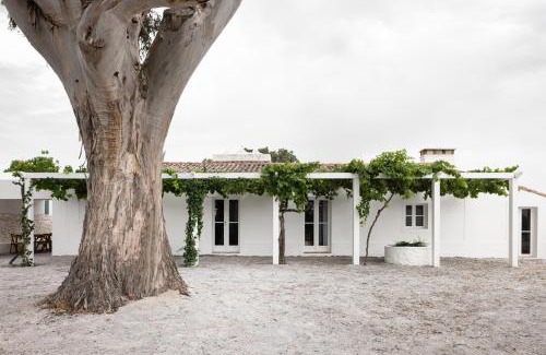 Castelo de Vide House | Monte dos Coureleiros