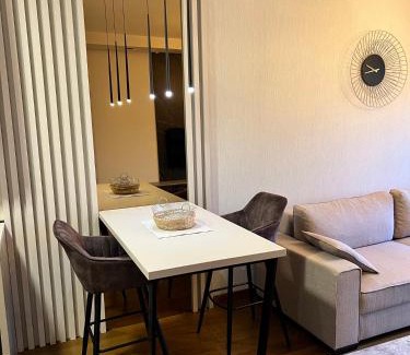 Podgorica Apartment | Montenegro Prestige Suite