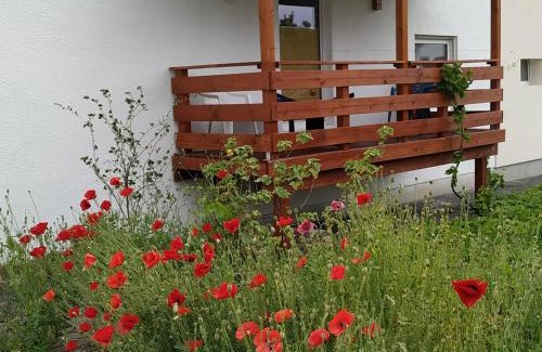 Steffenberg Apartment | Monteur - Ferienwohnung - Marburg-Biedenkopf - Steffenberg - Erdgeschoss mit Balkon