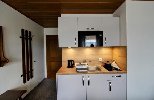 Thyrnau Apartment | Monteurunterkunft Passau workers accommodation