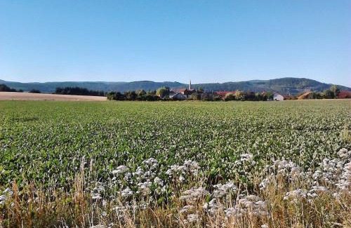 Langelsheim Apartment | Monteurwohnung Langelsheim 6 Personen