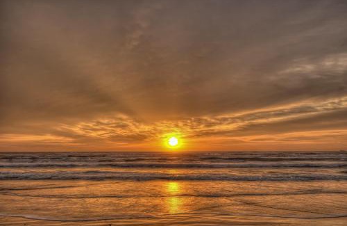 South Padre Island Apartment | Moon Dancer Condominiums