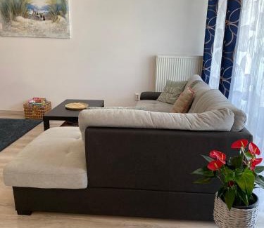 Szeged Apartment | Moonshine Szeged