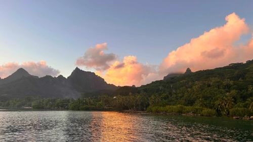Ha'apiti Apartment | MOOREA - Bungalow Nauhei Surf Spot 1