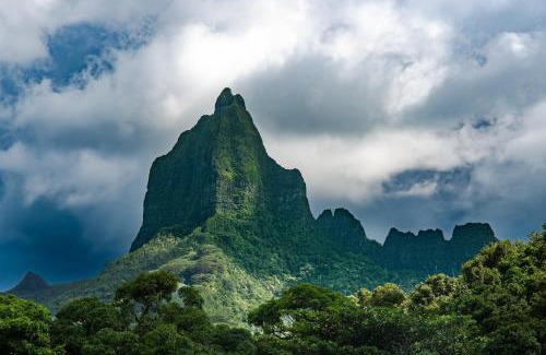 Maharepa House | MOOREA - Fare Nihei