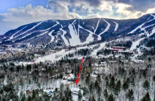 Sunday River Area House | Moose Lodge