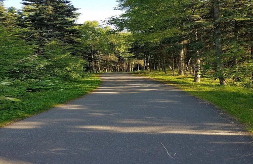 Sand Lake Apartment | Moose Meadows- Near the airport, centrally located