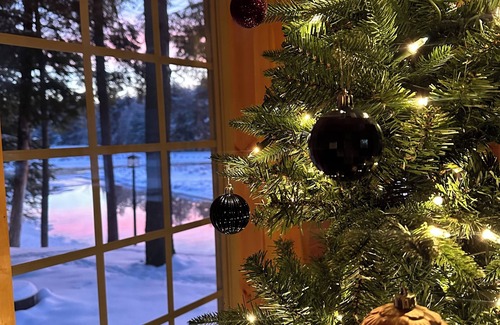 Thendara Cabin | Moose River Landing Cabin on the Majestic Moose River! Waterfront - Old Forge NY