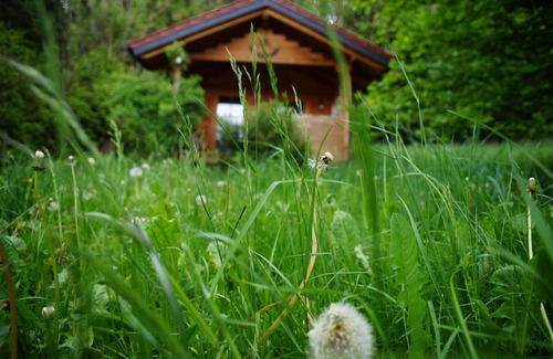 Unterallgau Apartment | Moosmühle Allgäu I Ruhige Lage mit Kamin & Saunahäuschen