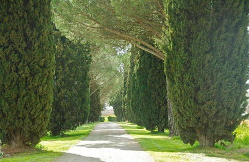 Castiglione del Lago House | Morami Wine Agriturismo