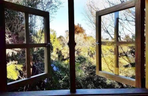 Hamilton House | Morepork Gully cabin