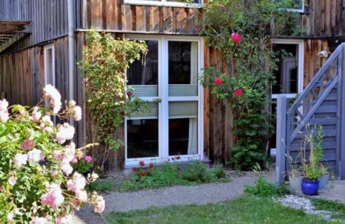Franken Siedlung Apartment | Morgensonne