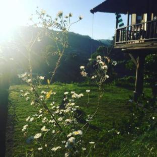 Mae Rim House | Mori Natural Farm