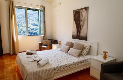 Donji Morinj Apartment | Morinj Lavender Bay apartment E5