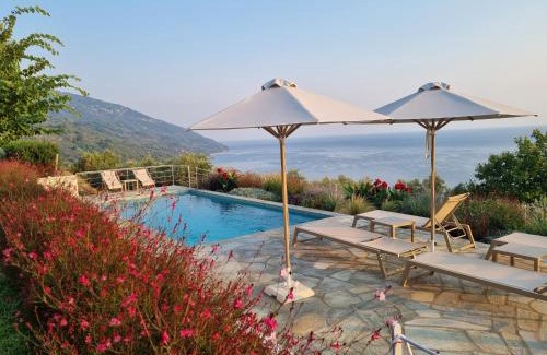 Zagora-Mouresi Apartment | Moses Villa