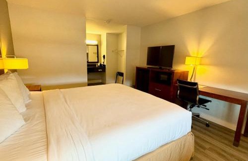 Martinez Hotel | Motel 6 Martinez, CA