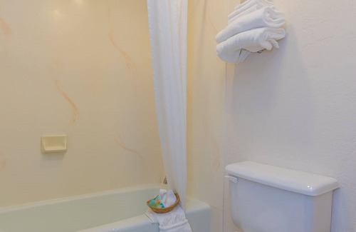 Rock Springs Hotel | Motel 8 Rock Springs