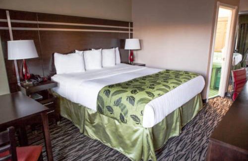 Cow Hollow Hotel | Motel Capri