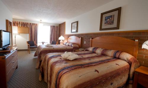 Downtown Gatineau Hotel | Motel Du Chevalier