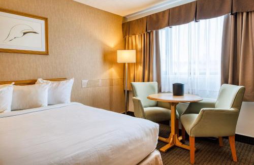 Rouyn-Noranda Hotel | Motel Mistral