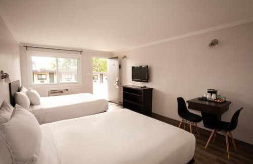 Laval Hotel | Motel Newstar Laval