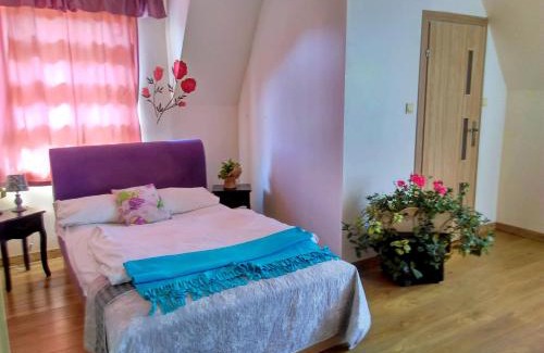 Srodmiescie Hotel | Motel Rezydent