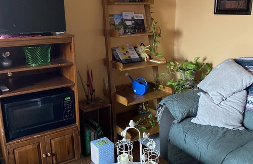 Mountain Home Apartment | Mother in laws quarters. Quiet neighborhood . Close to two lakes and 3 rivers