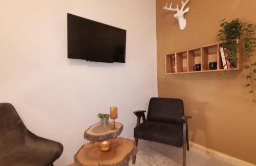 Bytom Apartment | Motyl Apartamenty Studio lub pokój z łazienką