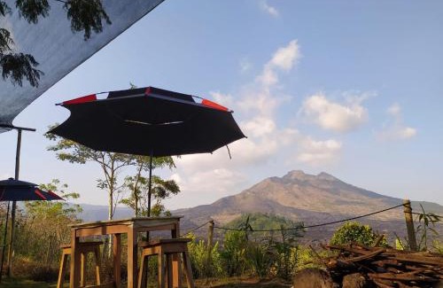 Kintamani Other | Mount Batur Sunrise Trekking Stay Package in Kintamani Adventures