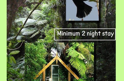 Ohauiti Bed & Breakfast | Mount Tutu Eco-Sanctuary