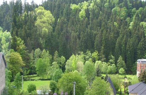 Grunhainichen Villa | Mountain Bliss in Borstendorf