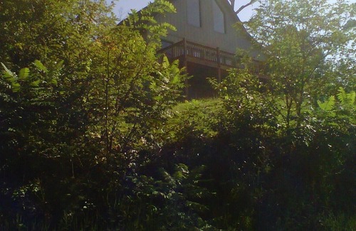 Hayesville Cabin | Mountain Dreams Cabin