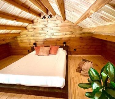 Monte Other | Mountain Eco Shelter 3