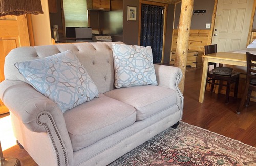 Baca Grande Apartment | Mountain Getaway Retreat - Cozy & Quiet Loft Apartment