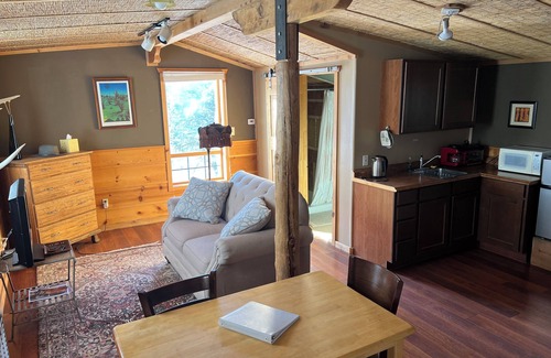 Baca Grande Apartment | Mountain Getaway Retreat - Cozy & Quiet Loft Apartment