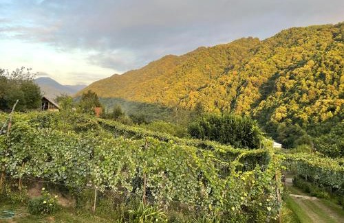 Guria House | Mountain Heaven