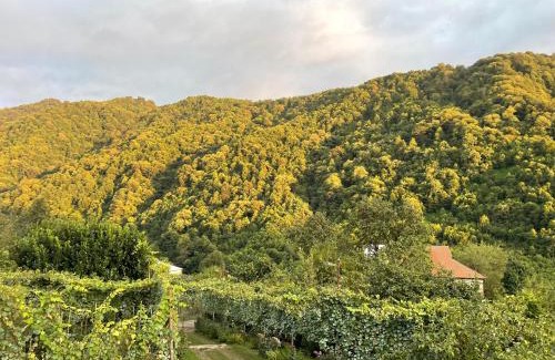 Guria House | Mountain Heaven