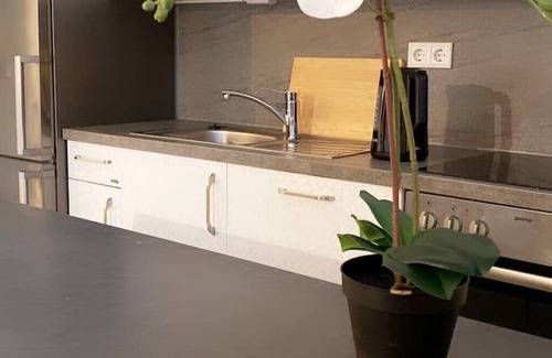 Wals-Siezenheim Apartment | Mountain view