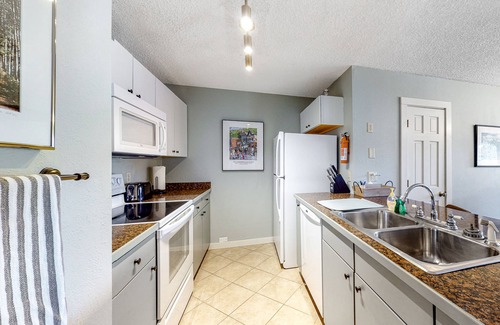 Crested Butte Condo | Mountain-view condo with private deck, fireplace & hot tub