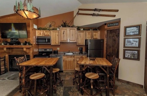 Rockwood Condo | Mountain View Escape - 1BR Ski-in/out Rustic Condo