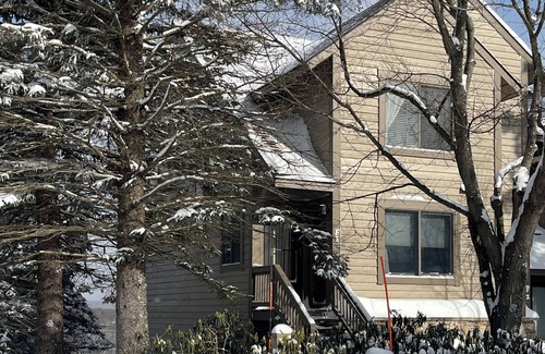 Rockwood Condo | Mountain View Escape - 1BR Ski-in/out Rustic Condo