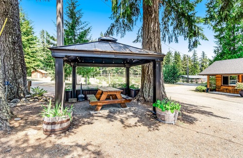 Quilcene Apartment | Mountain-view ground-floor studio with fast WiFi - dog-friendly