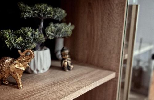 Campulung Apartment | Mountain View Muscel Apartment