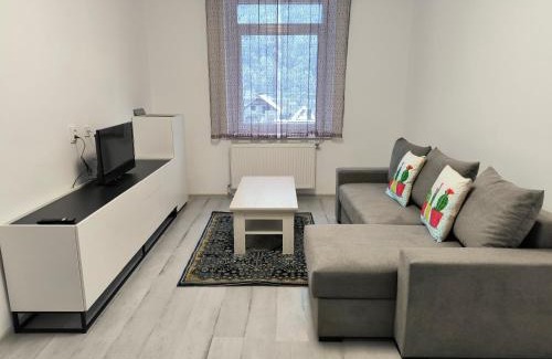 Baia Mare Apartment | Mountain view