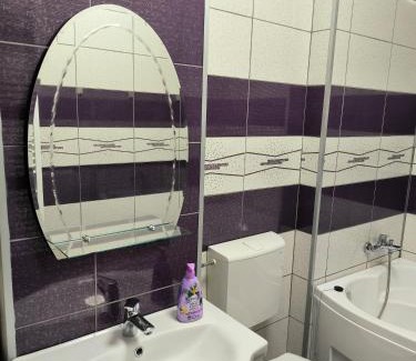 Baia Mare Apartment | Mountain view