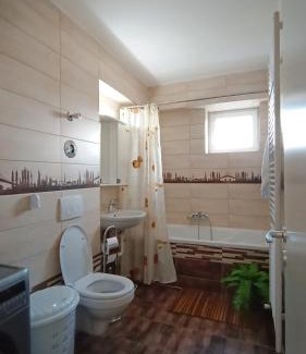 Selimbar Apartment | Mountain View Sibiu