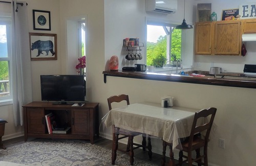 Rosman Apartment | Mountaintop suite, mountain views, one level, King bed, pet friendly, accessible