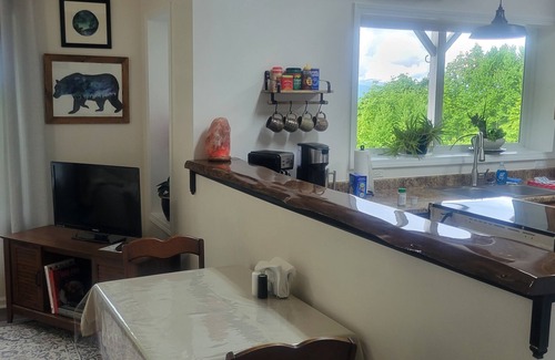 Rosman Apartment | Mountaintop suite, mountain views, one level, King bed, pet friendly, accessible